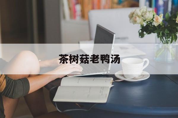 茶树菇老鸭汤图片