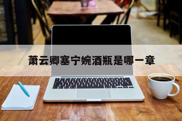 萧云卿宁婉四神集团免费阅读