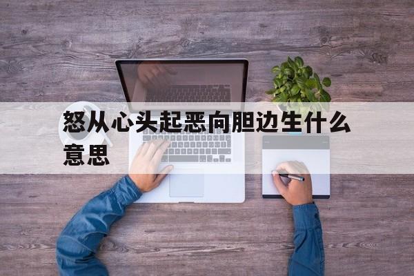 怒从心头起是什么意思