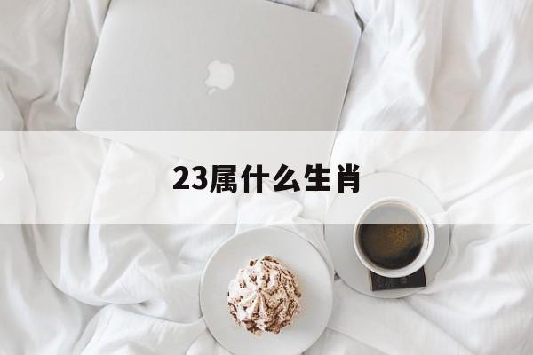 23属什么生肖属相