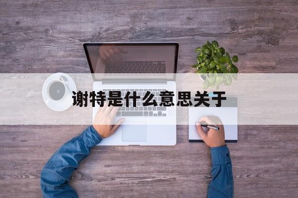 谢特是什么意思?