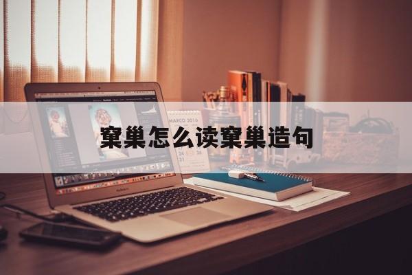 窠巢怎么读拼音怎么写