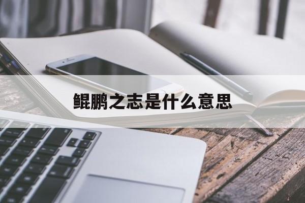 鲲鹏之志典故
