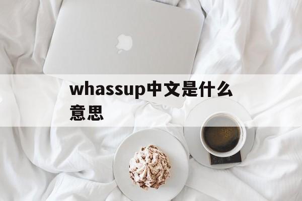 washingup是什么意思中文翻译