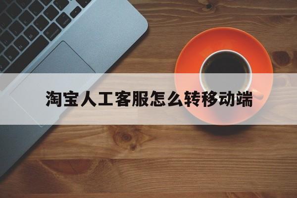 淘宝客服怎么切换到人工