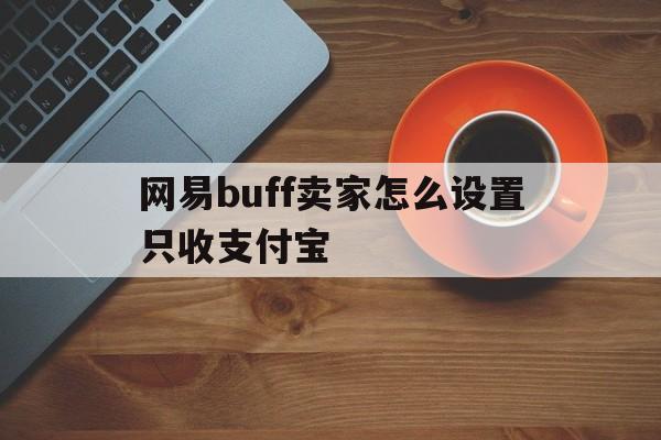 网易buff怎样设置只接收支付宝交易