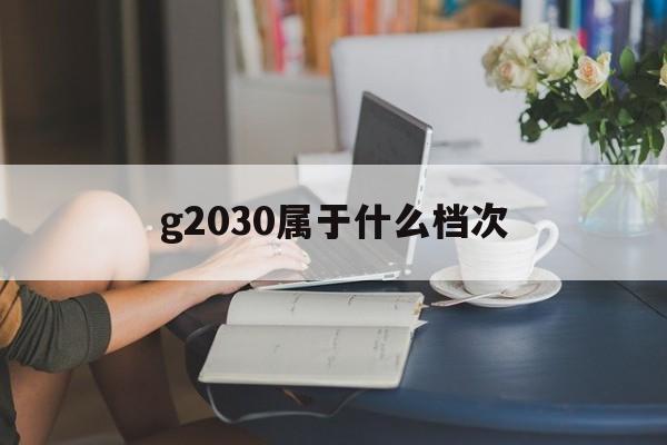 g2030什么水平